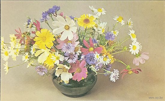 Открытка 1983 композиция из цветов Савалова чистая