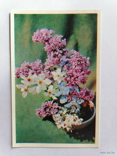 Открытка из СССР, 1976г, подписанная.