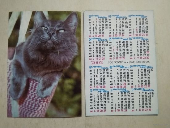 Карманный календарик . Котик. 2002 год