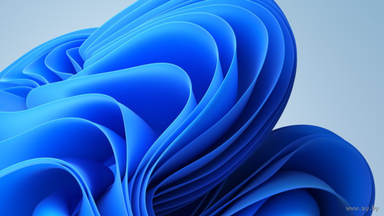 Черное море. Совместный выпуск Украина-Болгария 2017 Фауна **