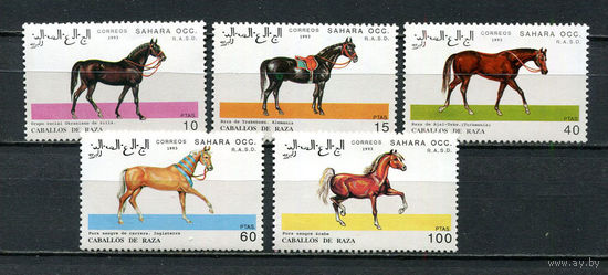 Сахара - 1993 - Лошади - (пятна на клее у ном. 100) - 5 марок. MNH.  (Лот 54Jp)-T4P26