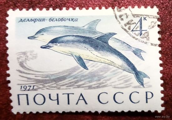 Марки СССР 1971. Млекопитающие. 4037. Марка из серии.
