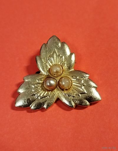 Распродажа украшений из бабушкиной шкатулки. Брошь. С рубля. Без минимальной цены. (ch-R)