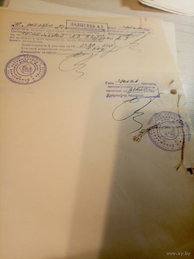 Документ БССР\2